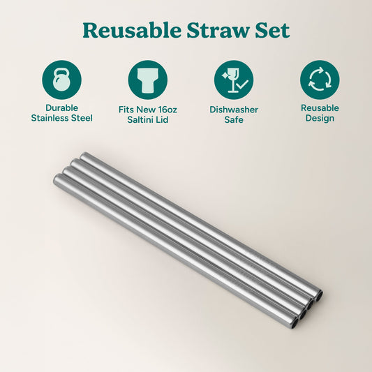 saltini-straw-set-i4 4PK_SaltiniStraws_SS-2.jpg