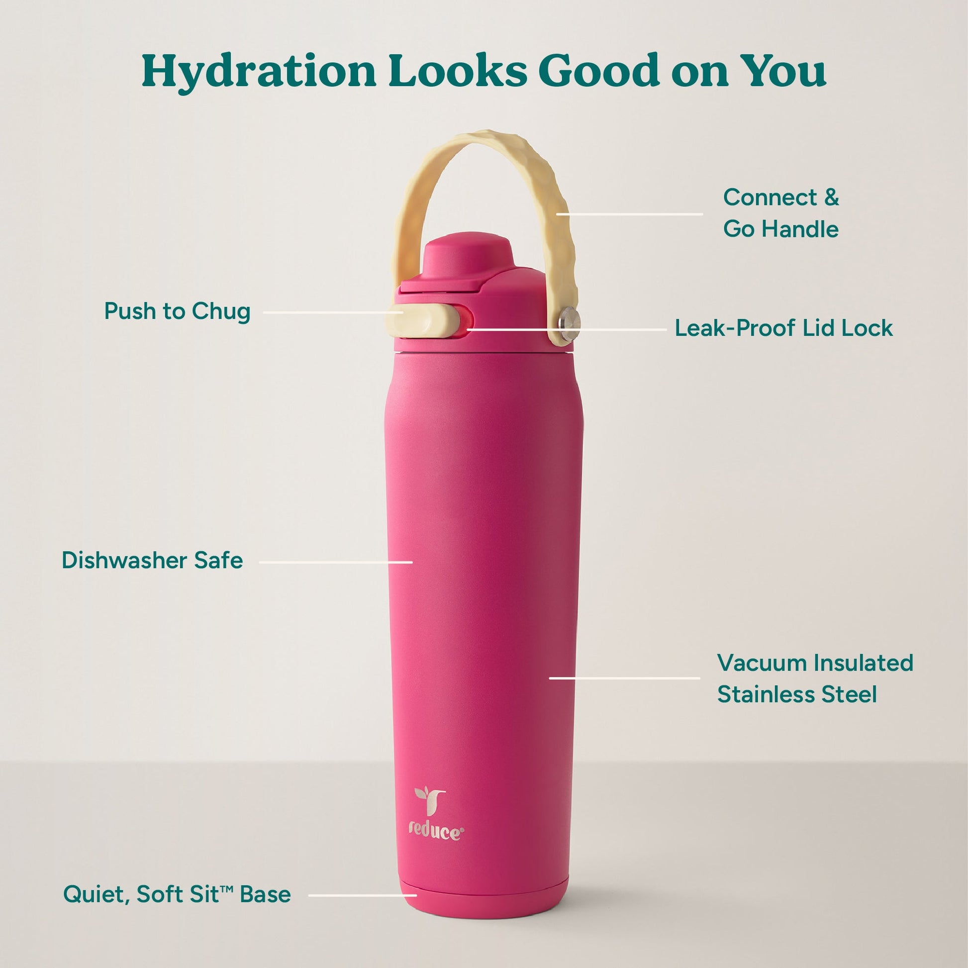 aura-26-oz-l5 Aura_26oz_DragonFruit_PDP_Infographic_2-03.jpg
