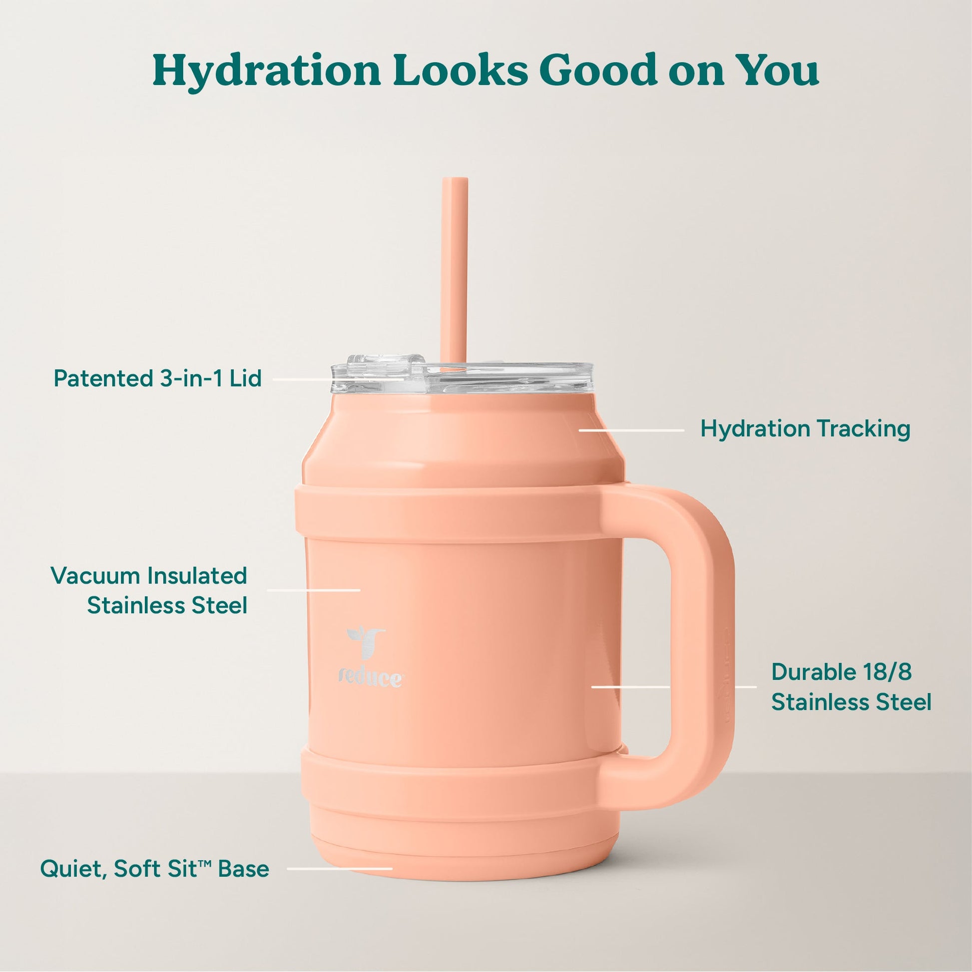 cold1-desktop-50-oz-c7 Cold1_50oz_Desktop_Sedona_Infographic_2.jpg